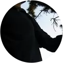 Frank Ellis profile picture